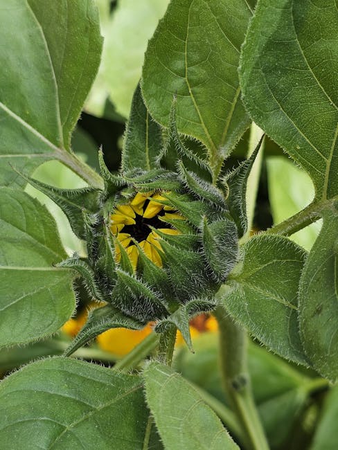 Tragedie în Grădina Botanică din Cluj: o femeie salvată după o tentativă de sinucidere