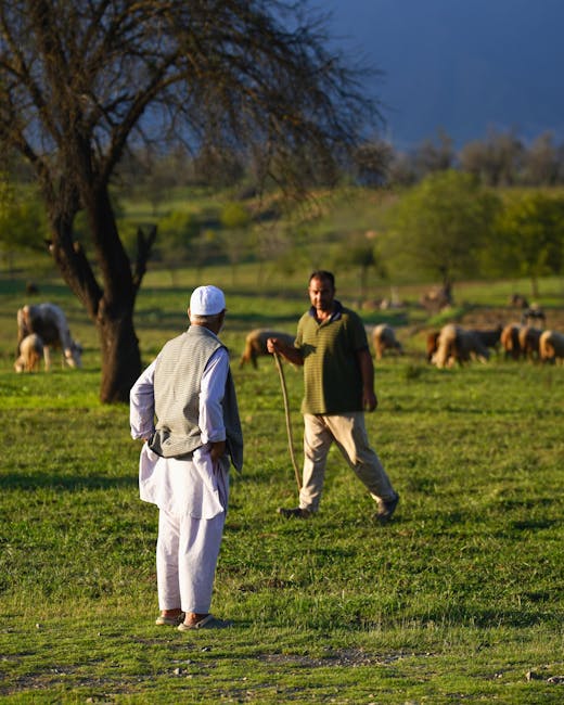 Incident tragic în Maramureș: o femeie atacată de animale sălbatice