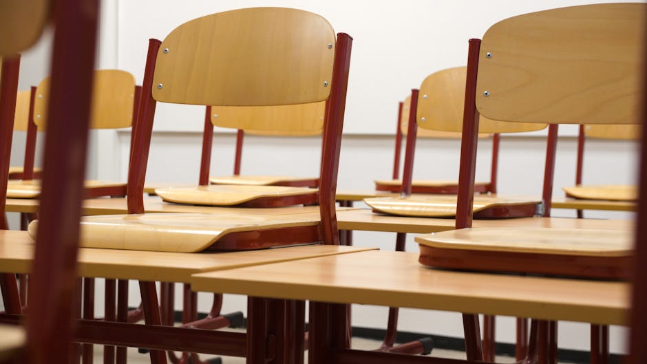 Întâlnirea ISJ Mureș: O nouă direcție pentru educația din județ