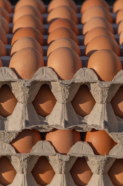 Rafturile din supermarketuri se golesc: fermierii români aleg exportul în fața cererii interne