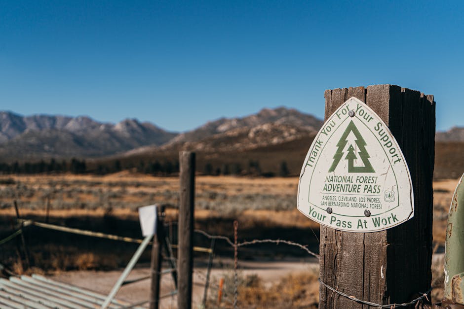 Premierul Bolojan promite o administrație mai eficientă și digitalizată