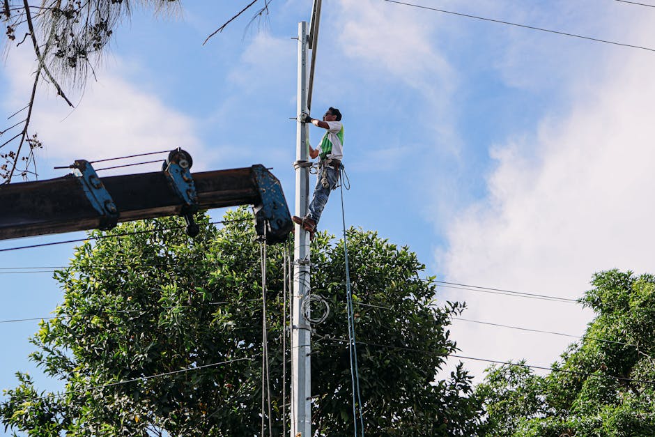 Nu rata ocazia: Concurs pentru tehnician la Facultatea de Inginerie din Târgu Jiu