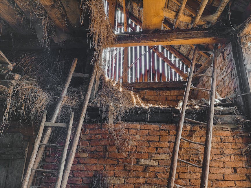 O biserică istorică din Harghita se prăbușește din cauza ciupercii dăunătoare