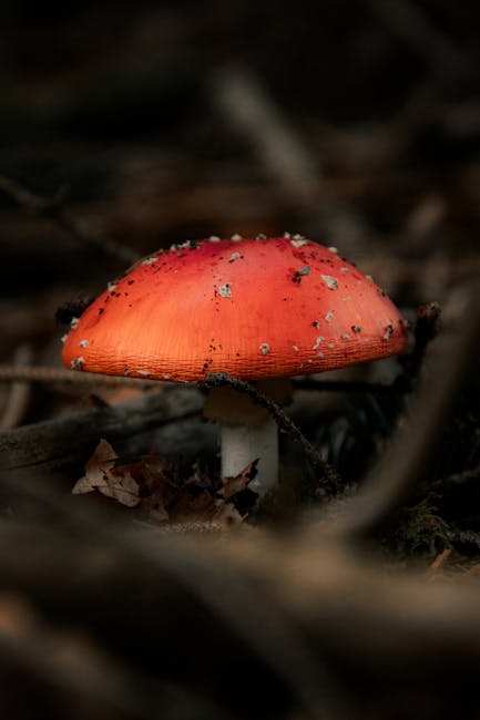 Descoperire revoluționară în China: minerale rare cresc în plante