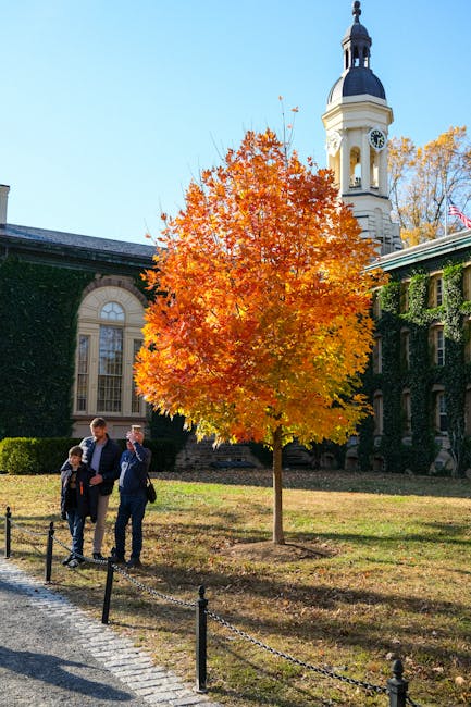 Principesa Sofia a României vizitează Universitatea „Valahia” din Târgoviște