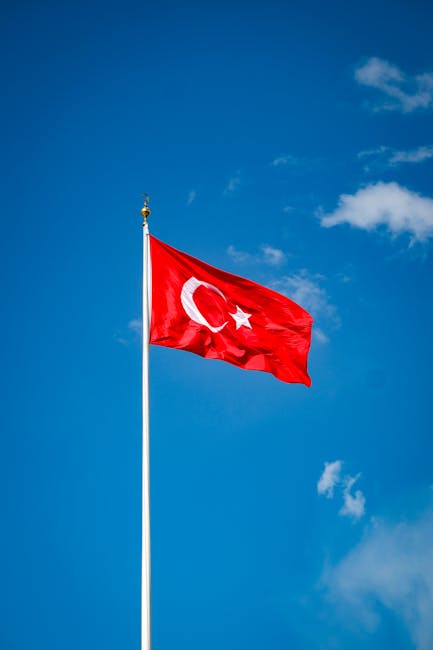 De ce 13 noiembrie este o zi specială pentru Biblia: descoperă influența sa globală