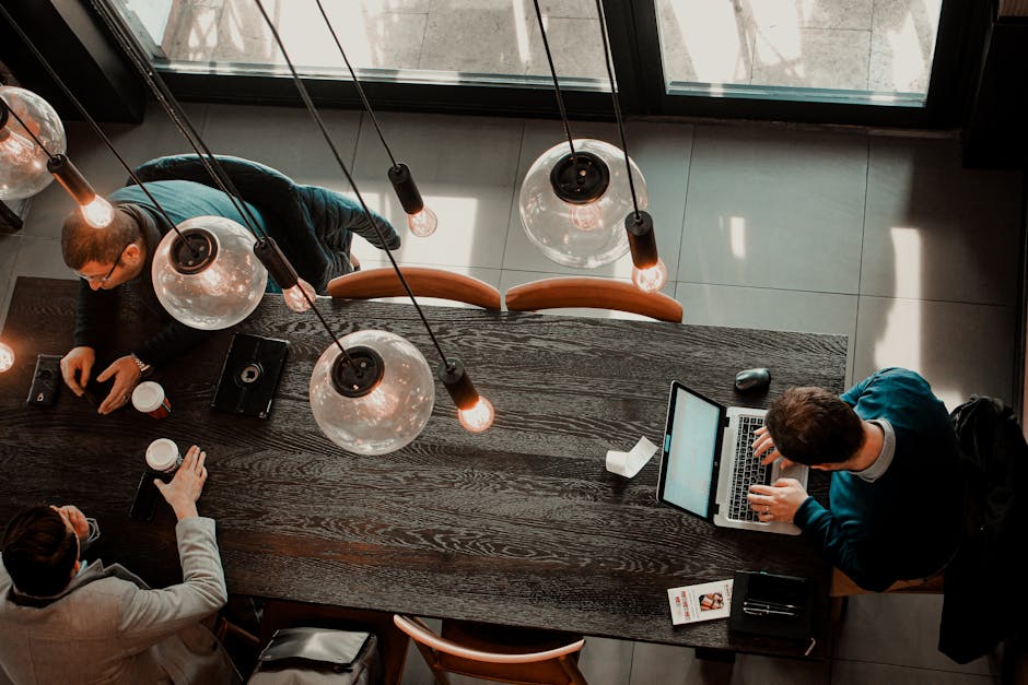 ONG-urile din România contestă afirmațiile Președintelui Nicușor Dan privind expertiza lor