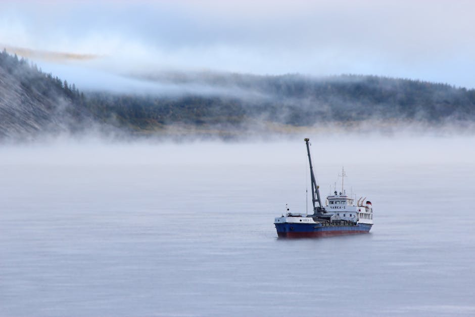 Vremea de astăzi: zile călduroase în zonele montane, ceață persistentă la câmpie
