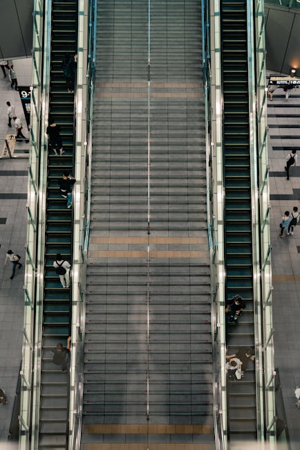 Inflația în România: motivele din spatele creșterii alarmante