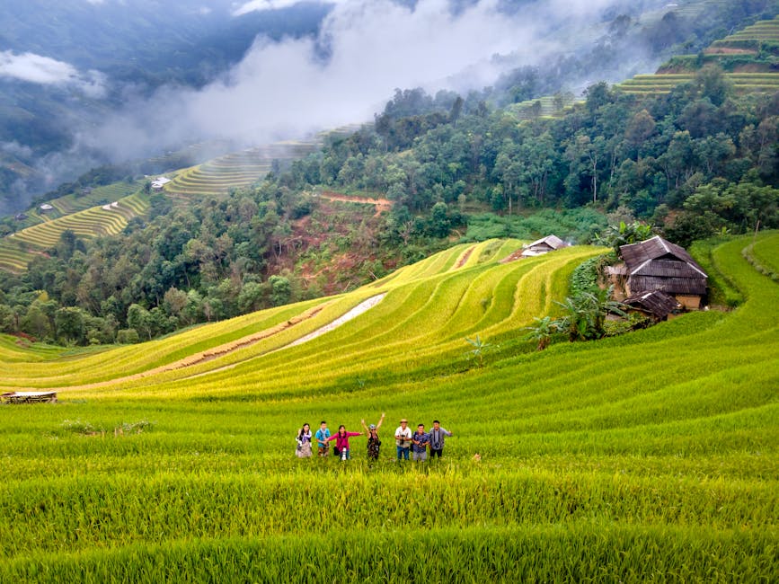 Omagiu adus Dobrogei de către deputatul Elena DoBOȘ