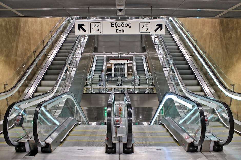 Reforma administrației: eficiență sporită fără concedieri masive