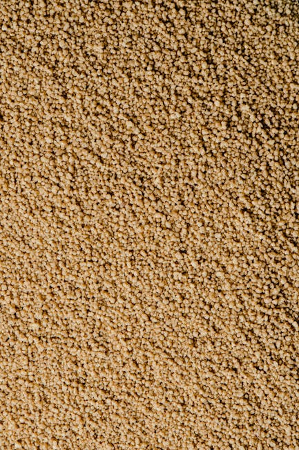 Descoperă meiul: cereala superaliment care îți transformă dieta