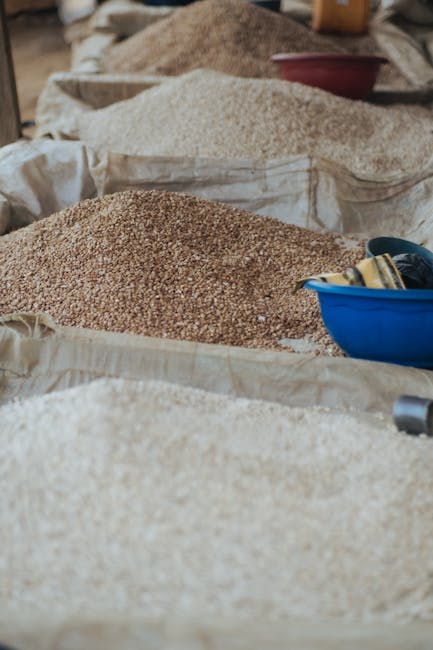 Ucraina contestă restricțiile agricole în drumul spre Uniunea Europeană