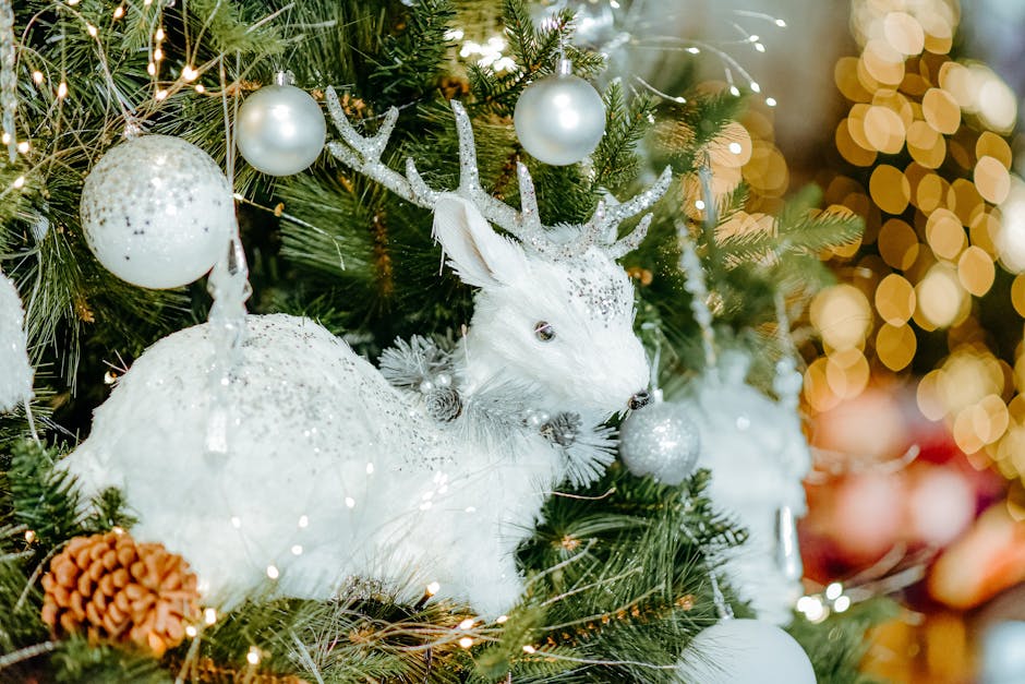 Suceava se pregătește pentru Crăciun cu un brad impresionant de 15 metri