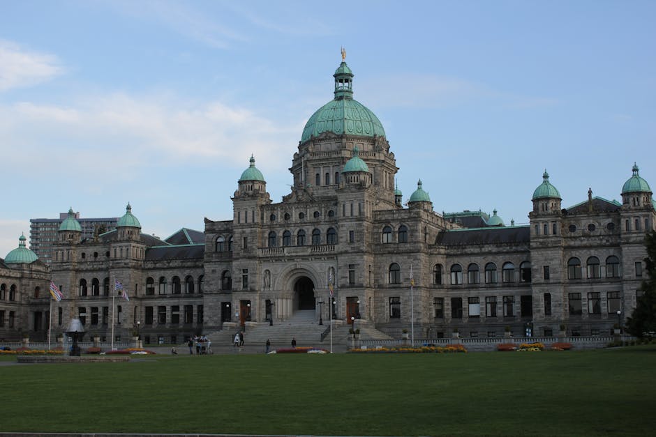 Călărași: Primarul Marius Dulce vorbește despre realizările din primul an de mandat