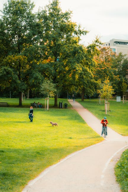 Descoperă cum să te relaxezi în Călărași cu doar 20 de lei