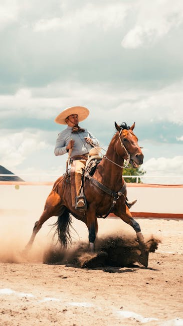 Descoperă magia animației „Sirocco și Regatul Vânturilor” la Blaj