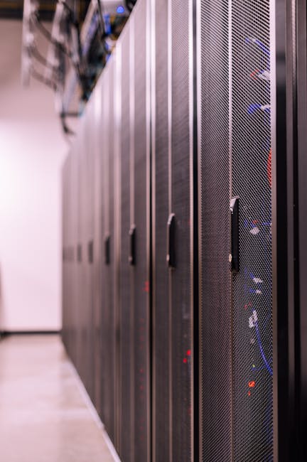 Profitați de o reducere de 20% la serviciile M SYS Group până pe 19 decembrie!