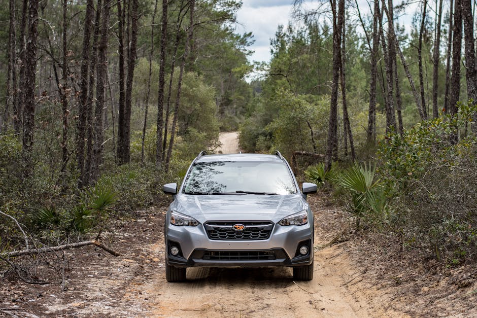 Transport ilegal de lemn depistat în Mioveni: cantitate dublă față de documente