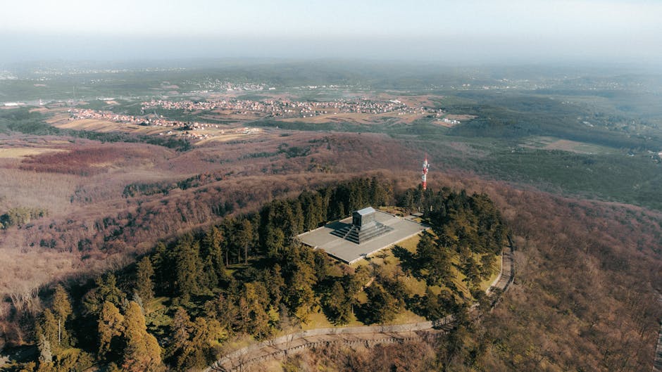 Captură impresionantă de țigări de contrabandă în Dolj