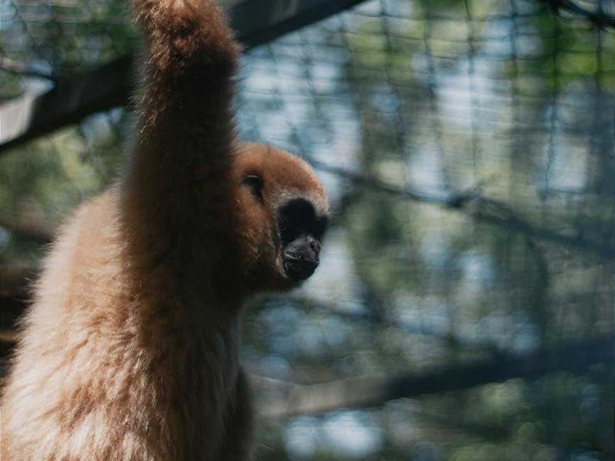 Zoo Târgu Mureș primește zeci de animale noi din diverse colțuri ale lumii