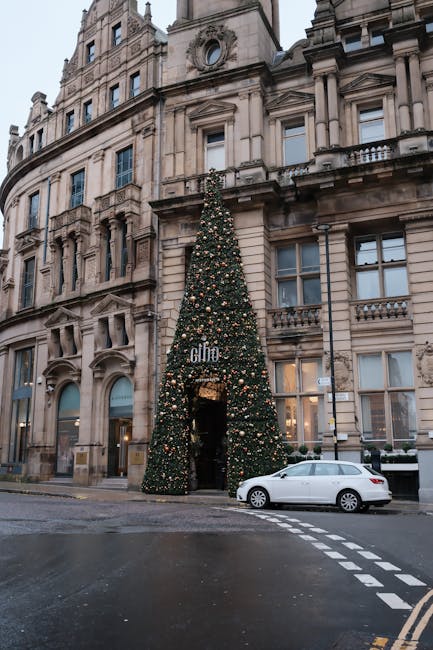 Oradea strălucește de sărbătoare: zece clădiri emblematice decorate festiv