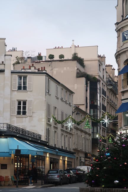 Parisul strălucește: Ceremonia de aprindere a luminițelor de Crăciun a adunat mii de spectatori