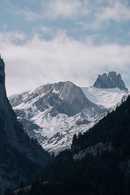 Primii fulgi de zăpadă din sezonul rece au acoperit Sălajul