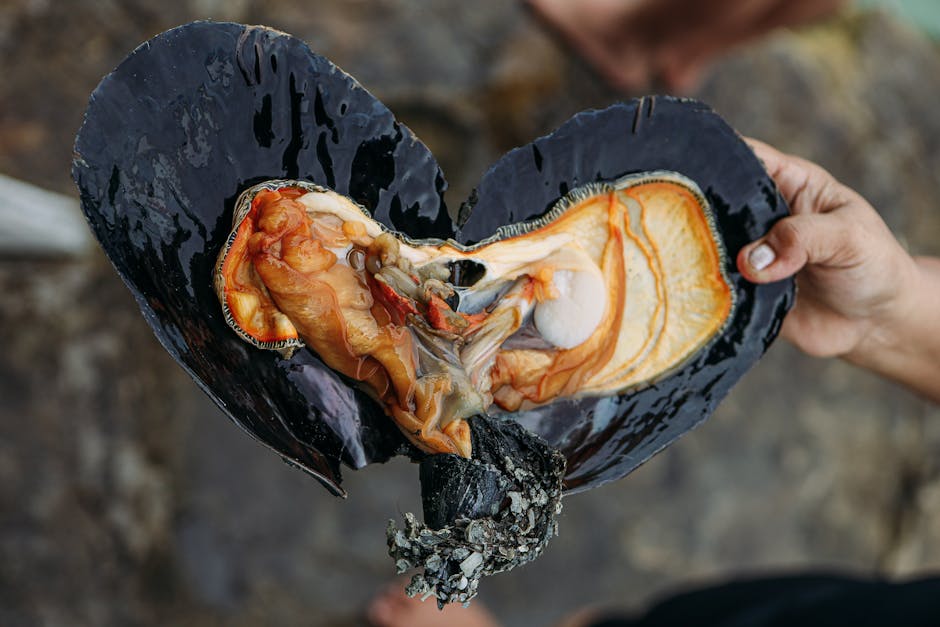 Strategia de control și monitorizare a zonelor marine din Marea Neagră, discutată la DSVSA Constanța