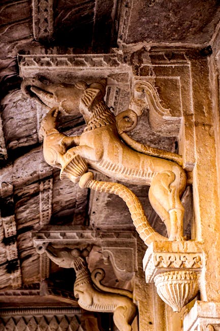 Redeschiderea Muzeului Casa Colecțiilor: O oportunitate de a explora istoria Galațiului