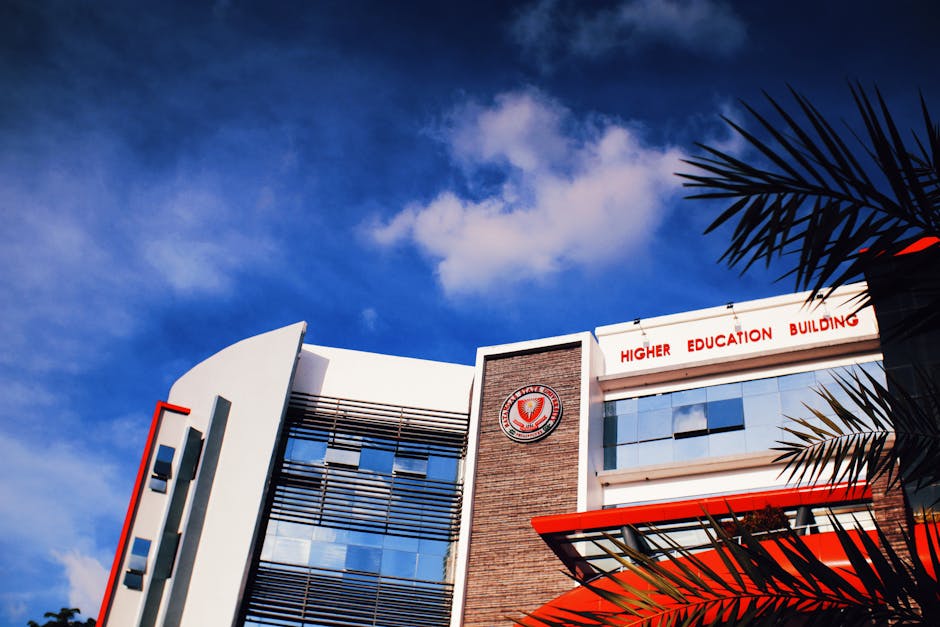 Fonduri semnificative pentru primăriile constănțene: ce proiecte vor fi realizate