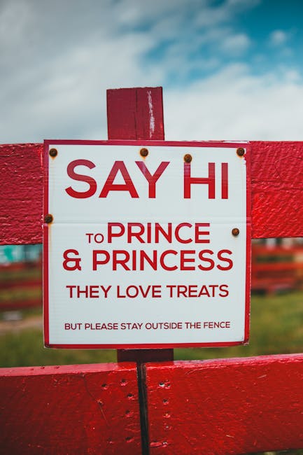 Decizia curții franceze: prințul Paul al României rămâne liber deocamdată