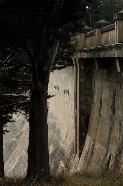 Descoperă noile echipamente de top testate de ABA Mureș