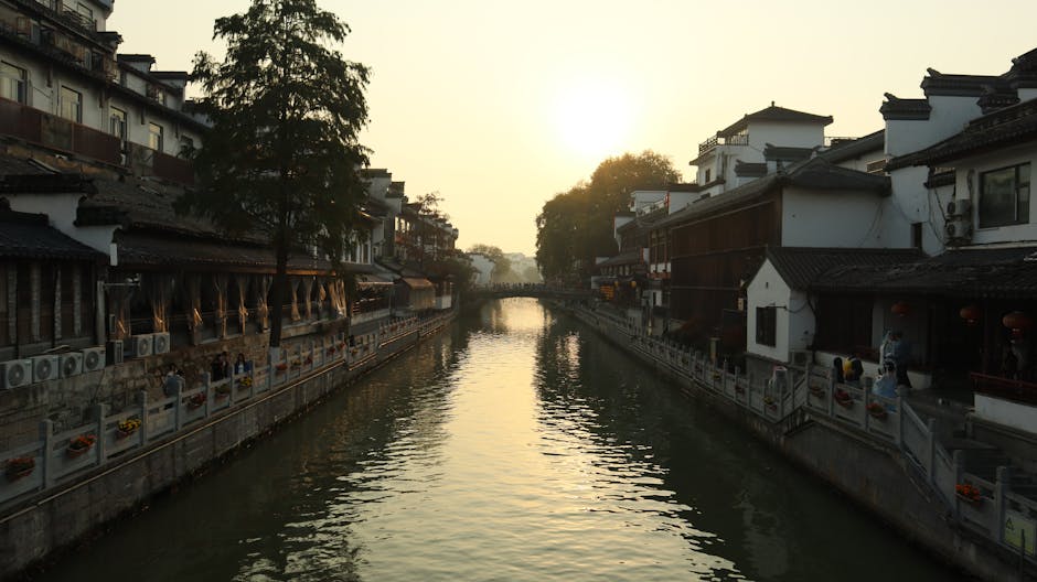 Ministerul Dezvoltării sprijină proiectul noului pod din Târgu Mureș