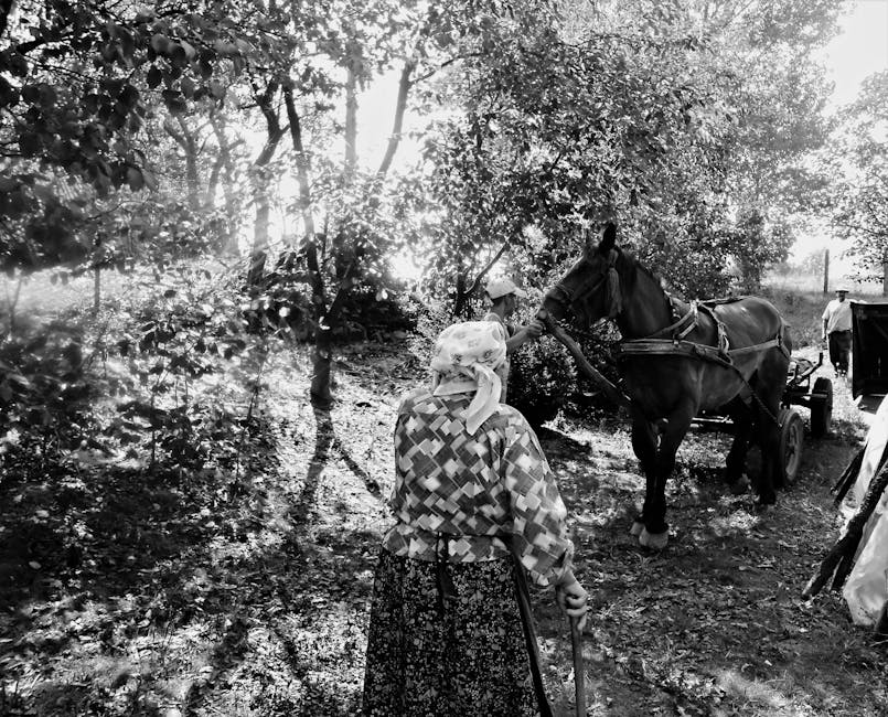 Ultima șansă de a descoperi universul lui Josef Vrážel la Muzeul Satului