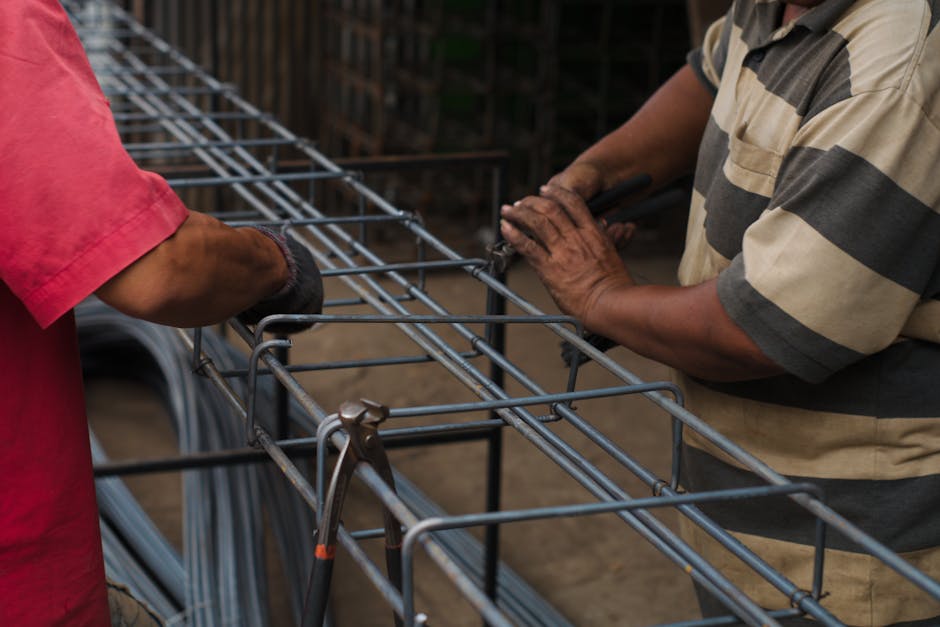 Creșterea numărului de muncitori asiatici și cetățeni UE în Bistrița-Năsăud