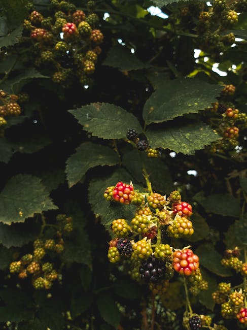 Reabilitarea podului din Breaza: expertiza finalizată, lucrările încep