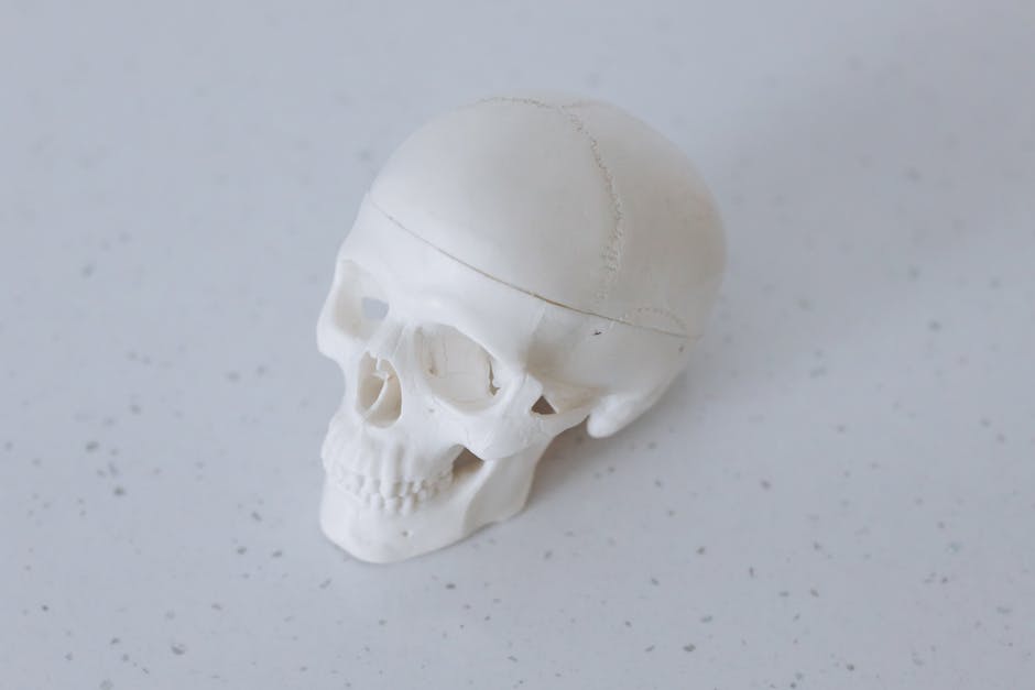 Proiect inovator pentru formarea în chirurgie minim invazivă în România și Serbia