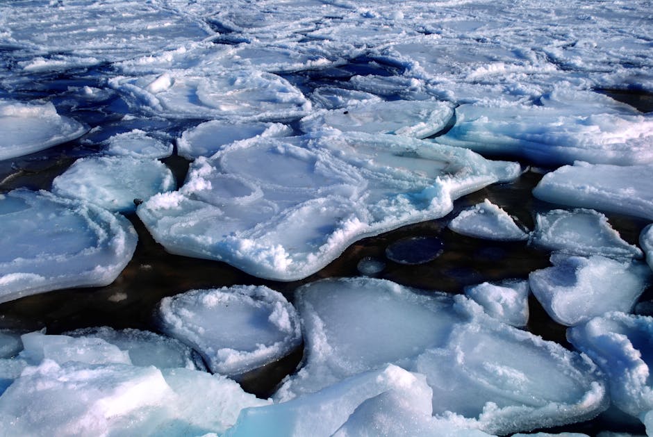 El Nino se intensifică: recorduri de temperatură și efecte globale devastatoare