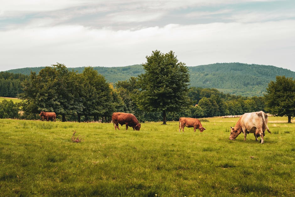 Institut de cercetare abandonat: cum Ministerul Agriculturii refuză să acționeze