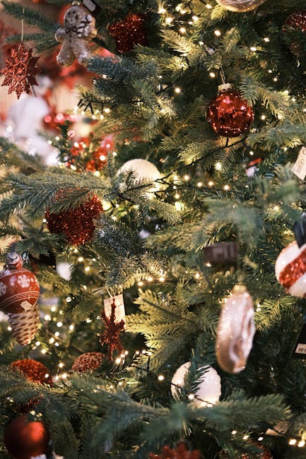 Bradul de Crăciun din Reșița începe să strălucească