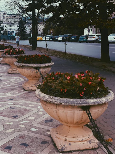 Grădina Botanică din Iași se modernizează: investiții pentru aleile pietonale
