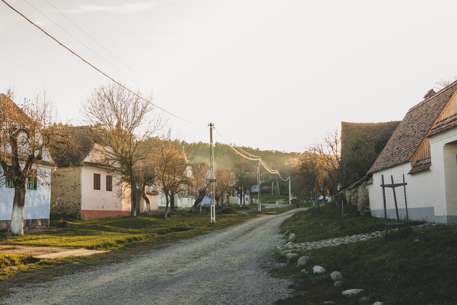 Senatoarea Valentina Aldea, victima unei agresiuni în stradă: detalii șocante