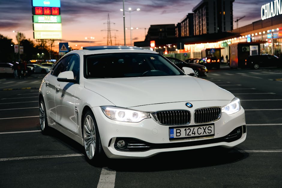 Royal Vet Project SRL pierde un BMW la licitație: detalii importante