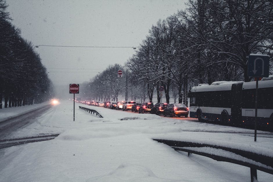 Iarna își face simțită prezența în Europa: ninsori masive și temperaturi extrem de scăzute