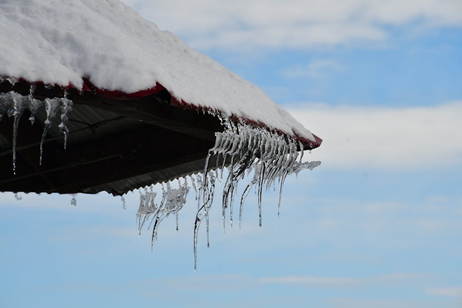 Vremea se schimbă în România: De la frig la temperaturi mai blânde