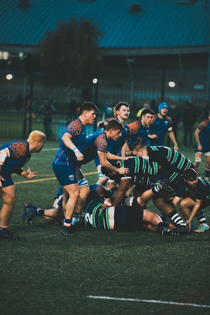 Cupa României la rugby 2026: CSM Știința Baia Mare își începe aventura pe 10 octombrie