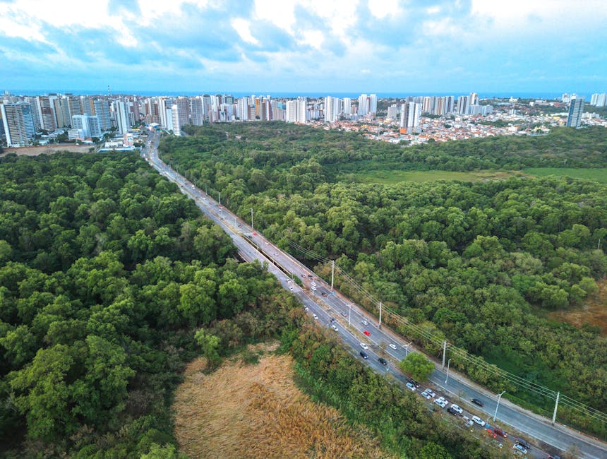 Proiect legislativ: tăierea abuzivă a arborilor din orașe va fi pedepsită cu închisoare