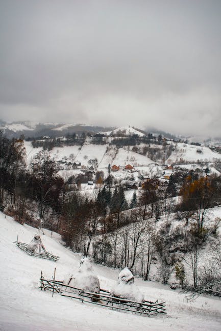 Sibiu se îmbracă în alb: primii fulgi de nea au sosit