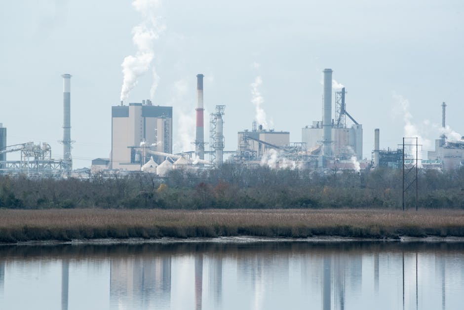 Descoperirea surprinzătoare a viespilor radioactive în Carolina de Sud
